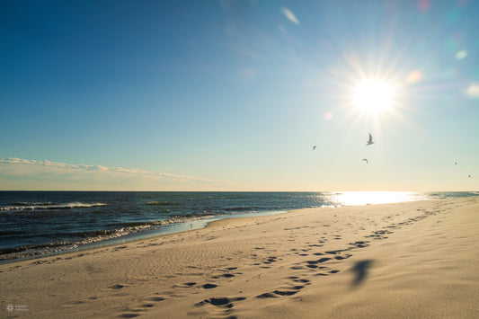 Slowing Down & Finding Peace