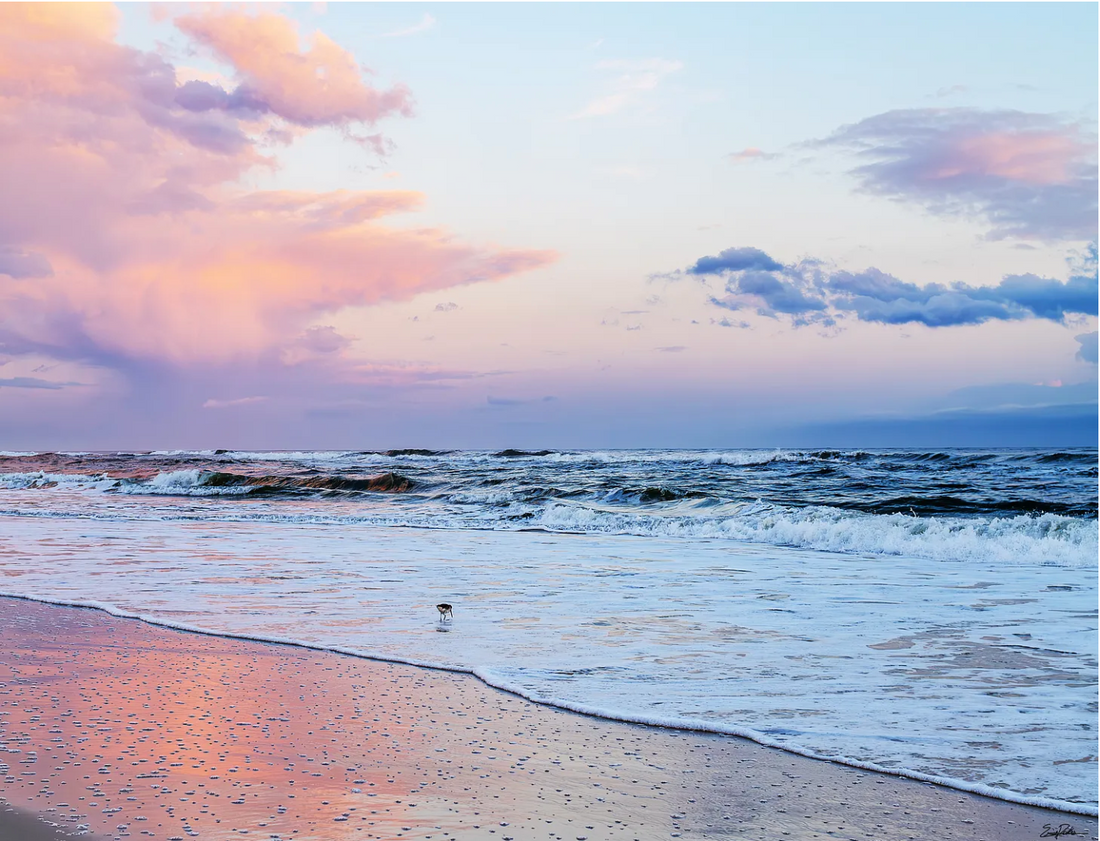 Johnson’s Beach is one of Pensacola’s many hidden gems.