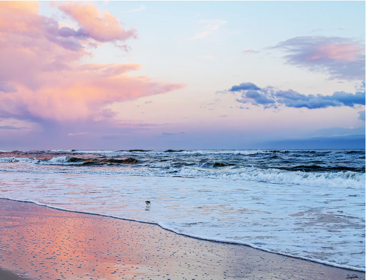 Johnson’s Beach is one of Pensacola’s many hidden gems.