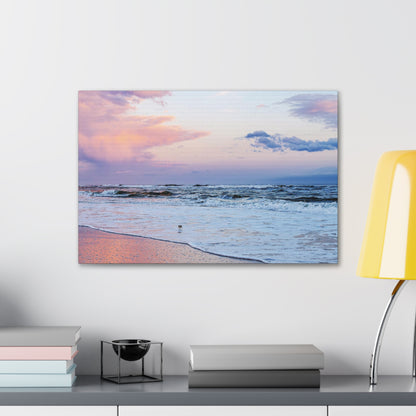 Sandpiper Sunset - Canvas Gallery Wraps