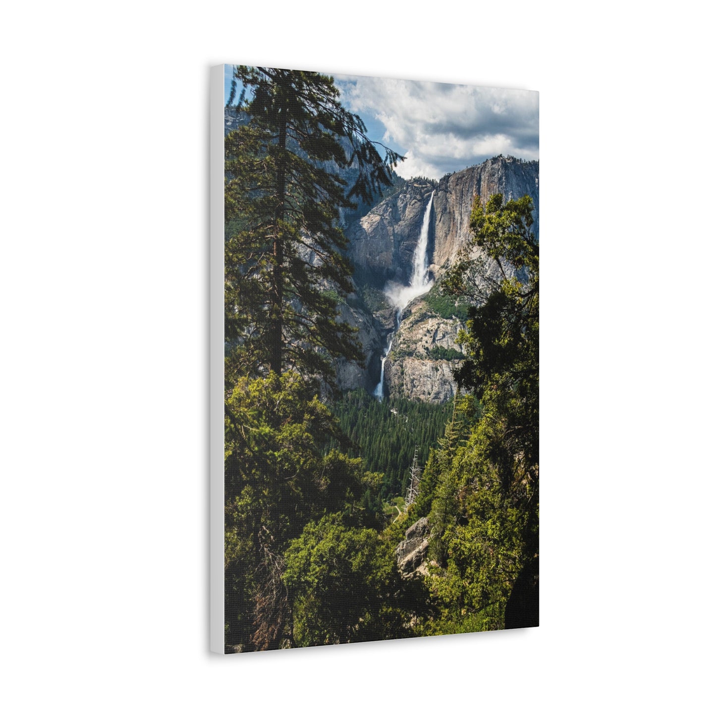 Yosemite Falls, Canvas Gallery Wraps