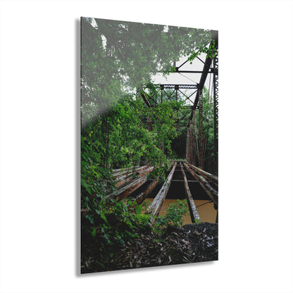 Abandon Alabama - 24" x 36" Acrylic Print (French Cleat Hanging)