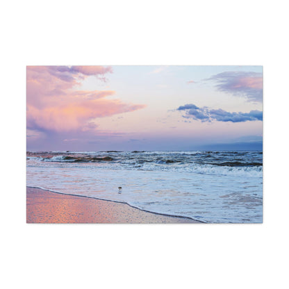 Sandpiper Sunset - Canvas Gallery Wraps