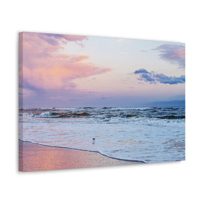 Sandpiper Sunset - Canvas Gallery Wraps