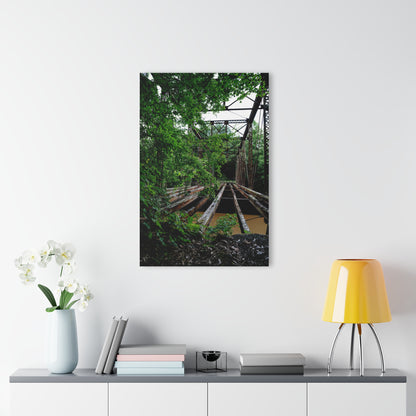 Abandon Alabama - 24" x 36" Acrylic Print (French Cleat Hanging)