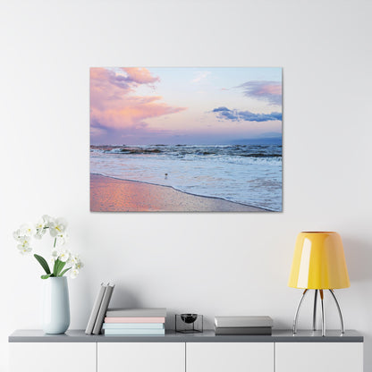 Sandpiper Sunset - Canvas Gallery Wraps