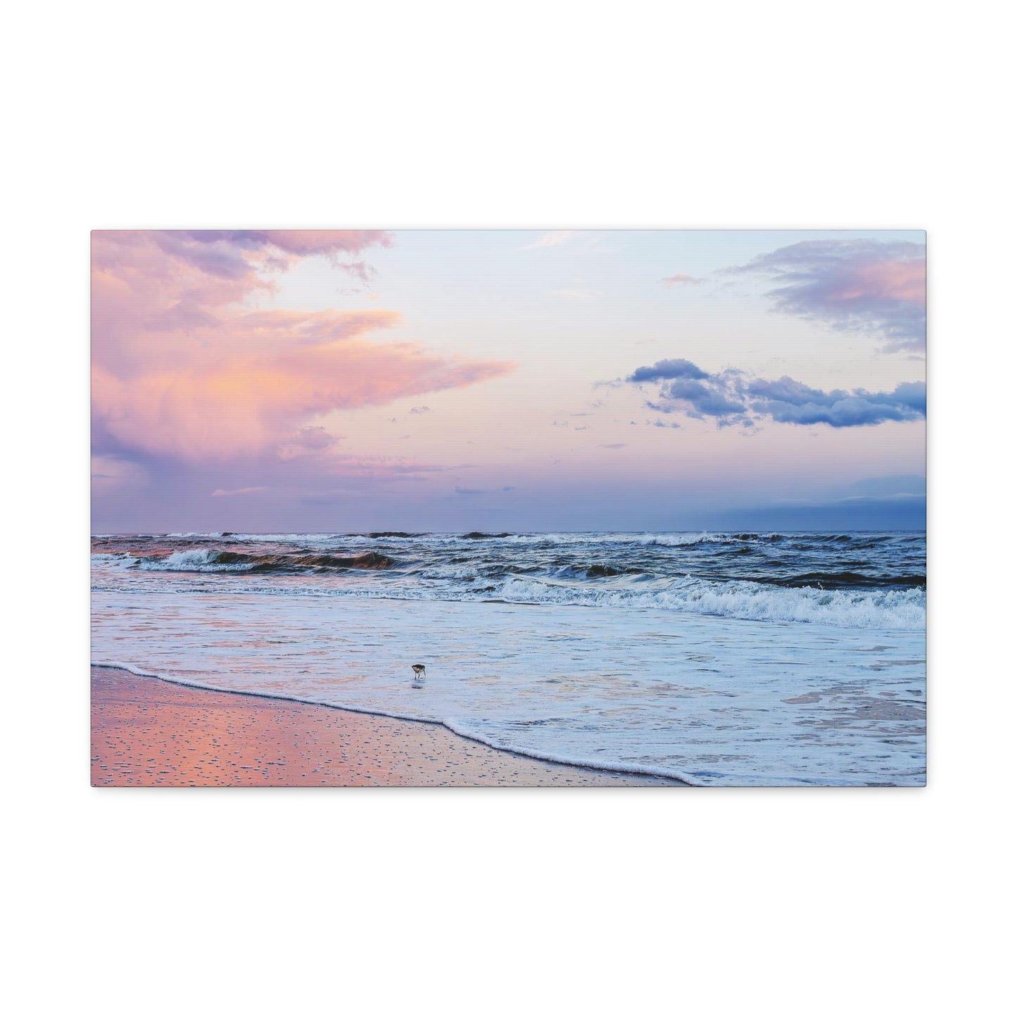 Sandpiper Sunset - Canvas Gallery Wraps