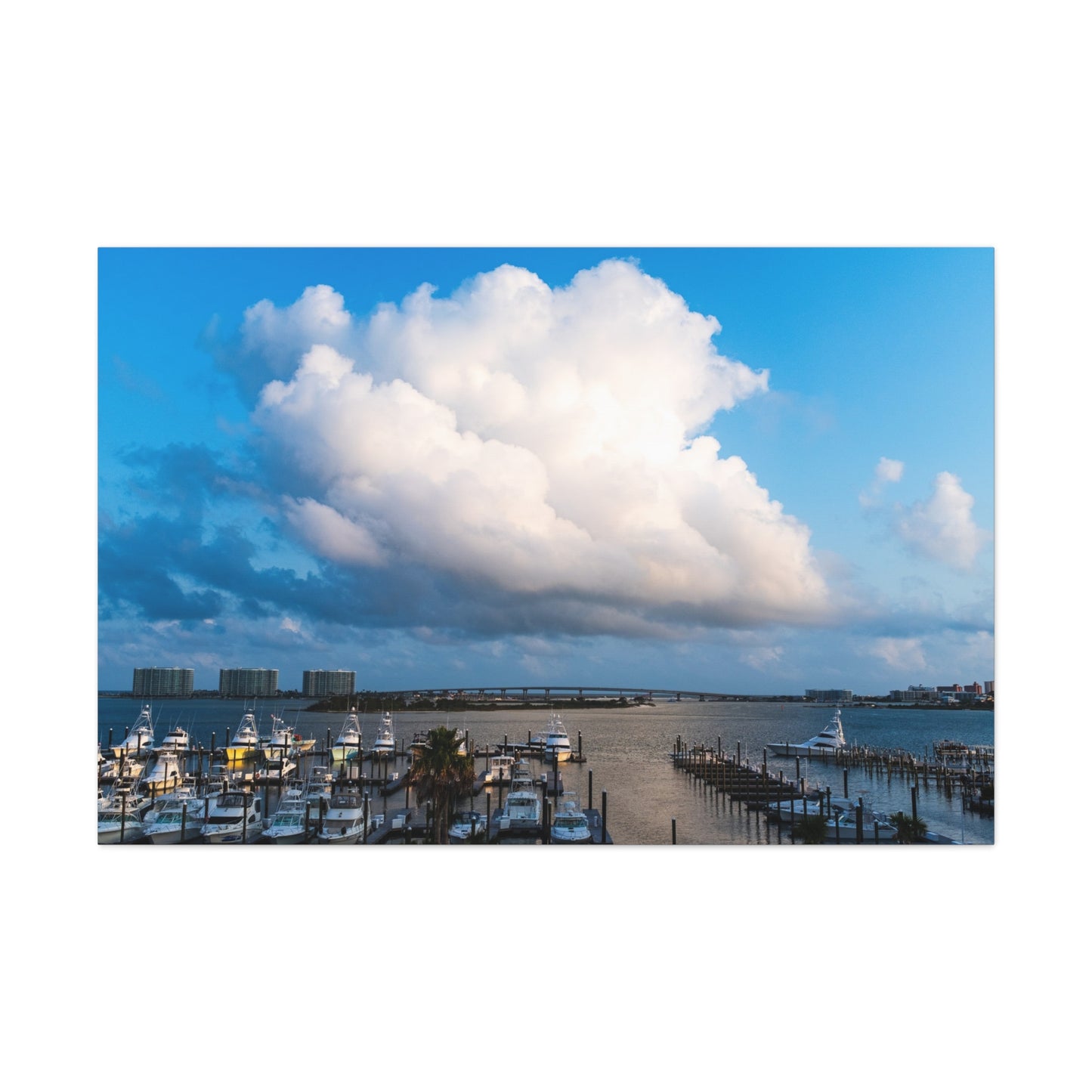 Poofy Cloud over the Alabama Pass - Canvas Gallery Wraps