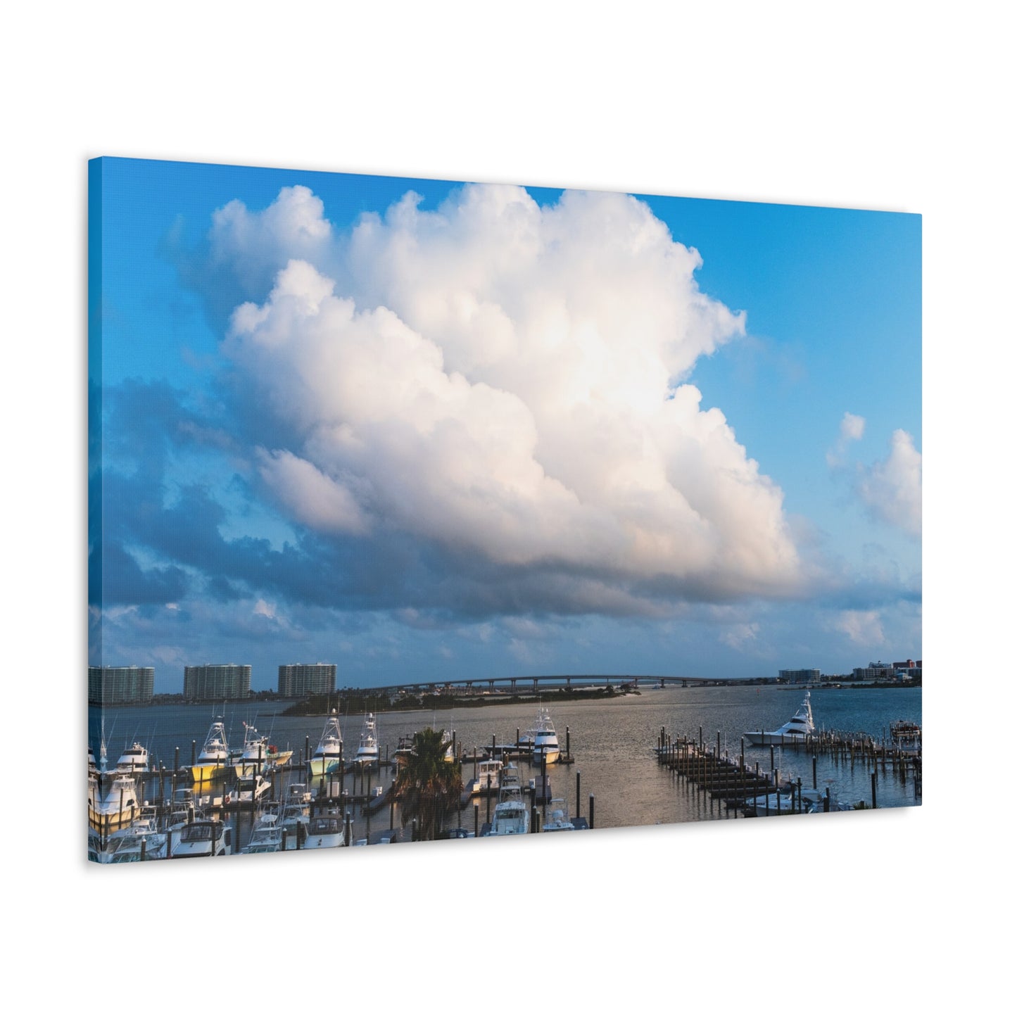 Poofy Cloud over the Alabama Pass - Canvas Gallery Wraps