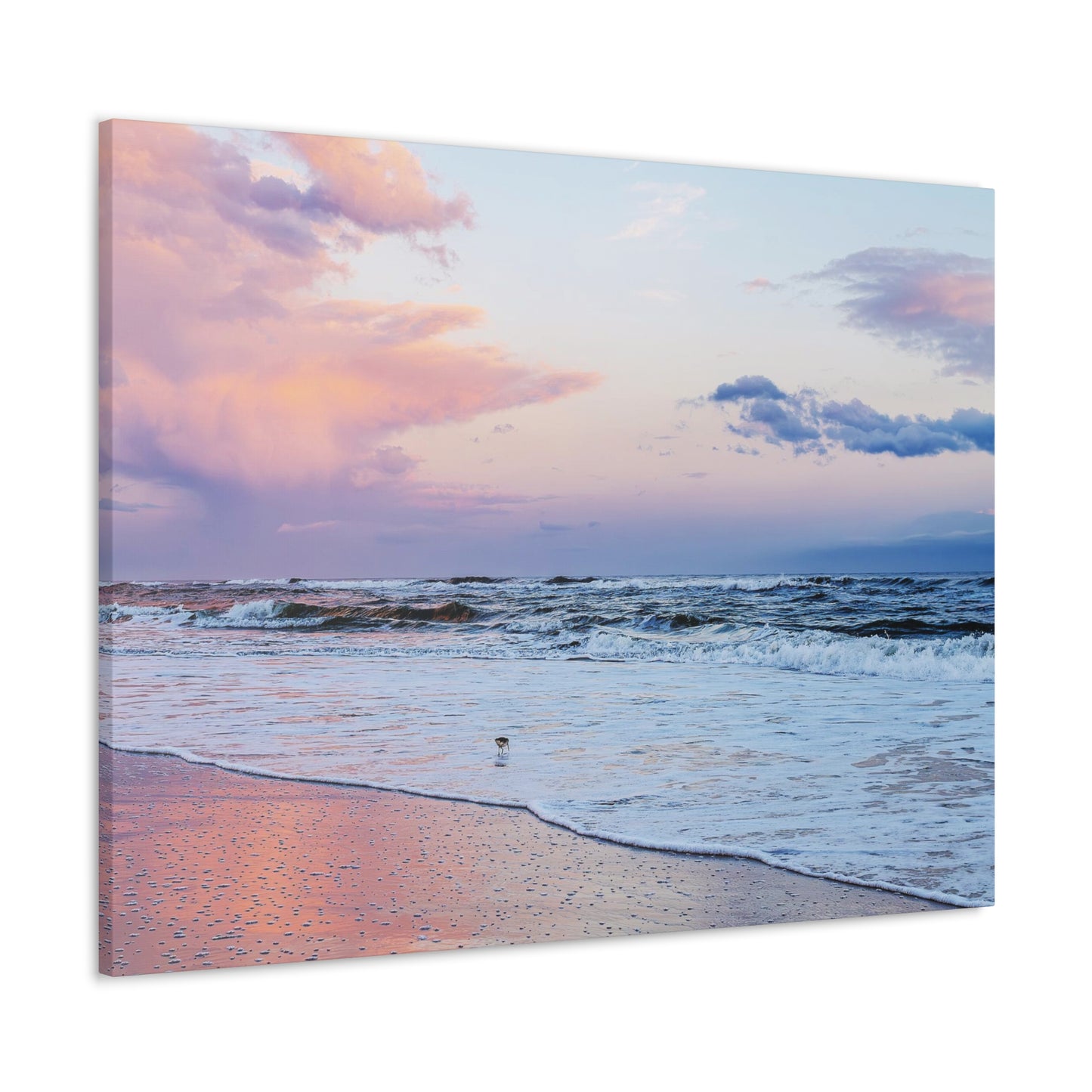 Sandpiper Sunset - Canvas Gallery Wraps