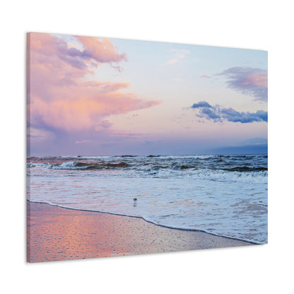 Sandpiper Sunset - Canvas Gallery Wraps