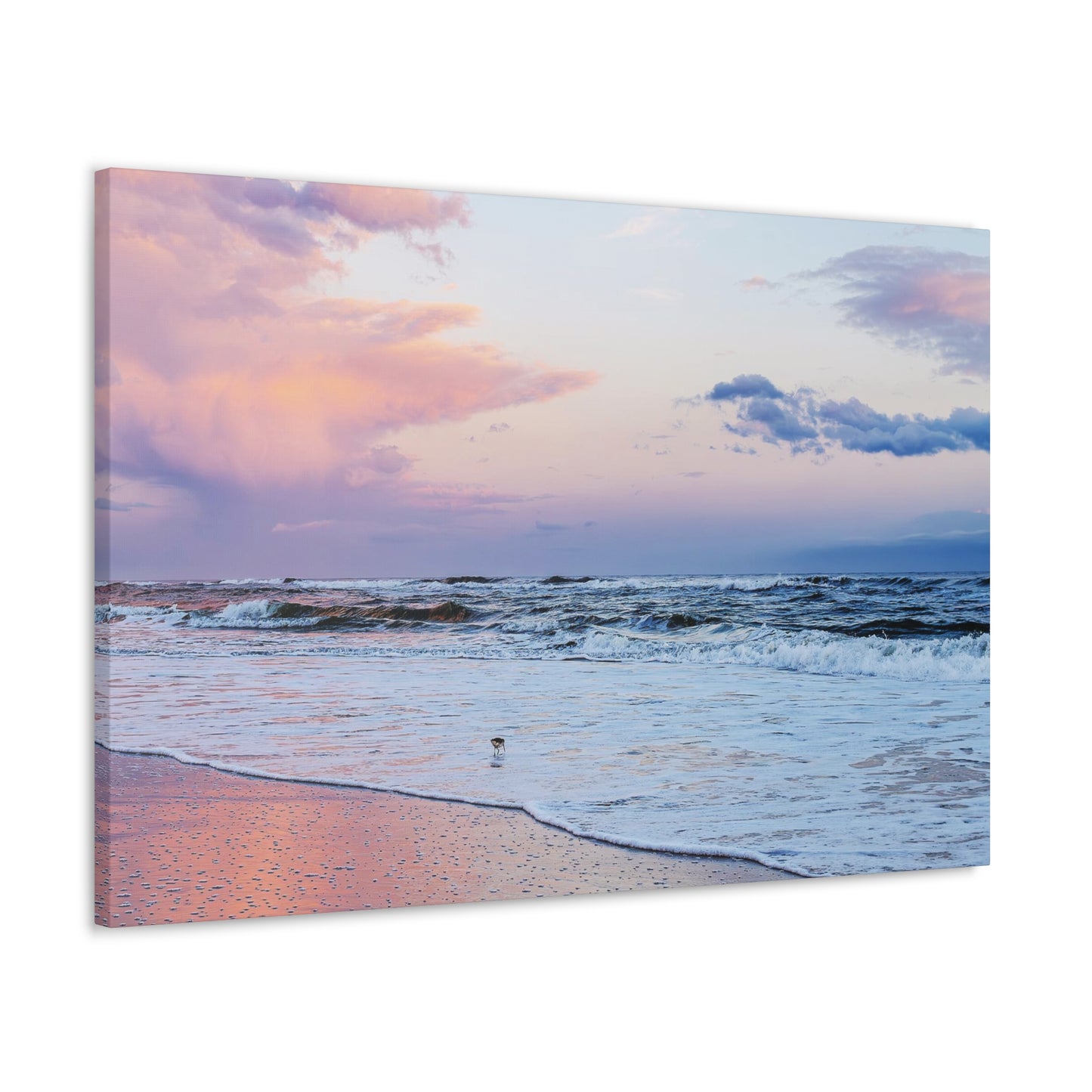 Sandpiper Sunset - Canvas Gallery Wraps