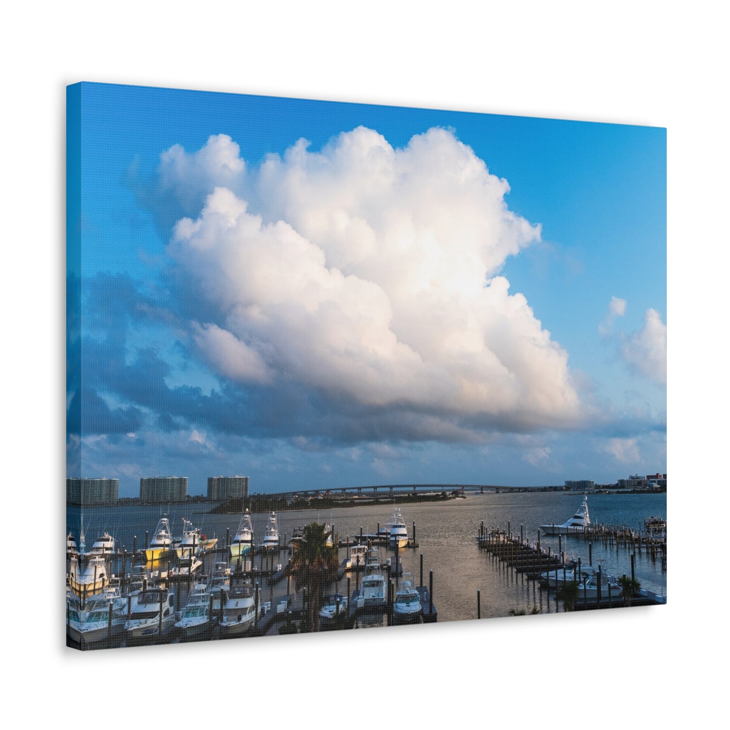 Poofy Cloud over the Alabama Pass - Canvas Gallery Wraps