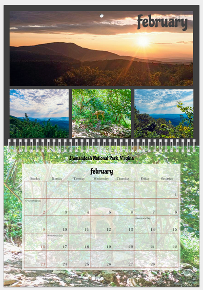 Nature's Beauty 2025 Wall Calendar